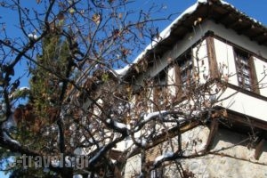 Archontiko Dintsiou_best deals_Hotel_Macedonia_Grevena_Grevena City