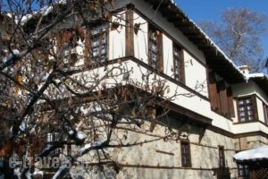 Archontiko Dintsiou_best prices_in_Hotel_Macedonia_Grevena_Grevena City