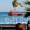 Lido Star Beach_holidays_in_Hotel_Dodekanessos Islands_Rhodes_Kallithea