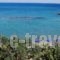Lido Star Beach_lowest prices_in_Hotel_Dodekanessos Islands_Rhodes_Kallithea