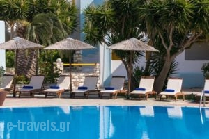 Asteras Paradise_lowest prices_in_Hotel_Cyclades Islands_Paros_Paros Chora