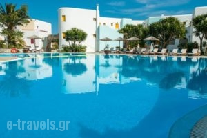 Asteras Paradise_accommodation_in_Hotel_Cyclades Islands_Paros_Paros Chora