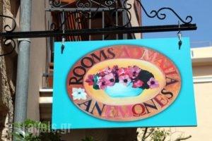Anemones Rooms_accommodation_in_Room_Crete_Chania_Daratsos