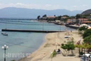 Despoina Apartments_holidays_in_Apartment_Central Greece_Fthiotida_Agios Konstantinos