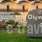 Olympian Bay_holidays_in_Hotel_Thessaly_Larisa_Ambelakia