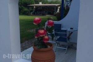 Saltriver rooms_best prices_in_Room_Central Greece_Attica_Rafina