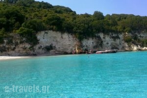 Polixeni Apartments_best prices_in_Apartment_Ionian Islands_Paxi_Paxi Chora