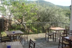 Guesthouse Arsenis_holidays_in_Hotel_Thessaly_Trikala_Kalambaki