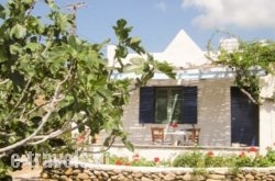 Spiti Apartment in Ios Chora, Ios, Cyclades Islands