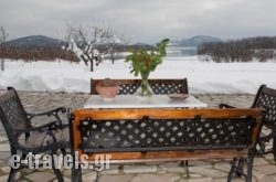 Guesthouse Paralimnia in Neochori, Karditsa, Thessaly