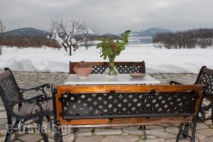 Guesthouse Paralimnia_accommodation_in_Hotel_Thessaly_Karditsa_Neochori