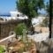 Daira Apartments_lowest prices_in_Apartment_Piraeus islands - Trizonia_Kithira_Kithira Chora