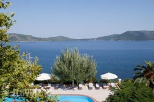 Muses Villas_best deals_Villa_Sporades Islands_Skopelos_Skopelos Chora