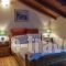 Alexaria Holidays Apartments_best deals_Apartment_Ionian Islands_Lefkada_Karia