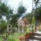 Rania House_holidays_in_Apartment_Macedonia_Halkidiki_Neos Marmaras