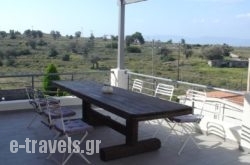 Aegina Bed & Culture_s __1