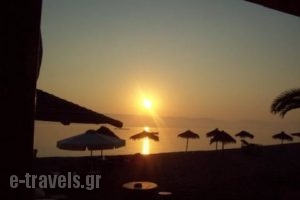 Asprokavos Beach Apartments_holidays_in_Hotel_Ionian Islands_Corfu_Kavos