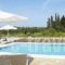 Roda Park Villa_holidays_in_Villa_Ionian Islands_Corfu_Corfu Rest Areas