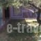 Alex's Studio_holidays_in_Hotel_Crete_Heraklion_Nea Alikarnassos