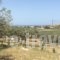 Alex's Studio_best prices_in_Hotel_Crete_Heraklion_Nea Alikarnassos