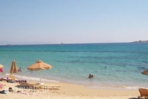 Glaronissi 1_best deals_Hotel_Cyclades Islands_Naxos_Naxos chora