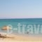 Glaronissi 1_best deals_Hotel_Cyclades Islands_Naxos_Naxos chora
