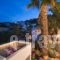 Old Vourvoulos Houses_lowest prices_in_Hotel_Cyclades Islands_Sandorini_Sandorini Chora
