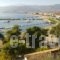 Astros Apartment_best deals_Apartment_Peloponesse_Arcadia_Paralio of Astros