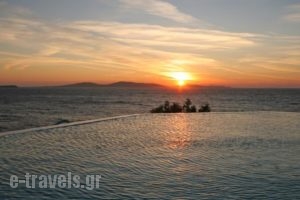 Alisahnea_lowest prices_in_Hotel_Cyclades Islands_Mykonos_Mykonos Chora