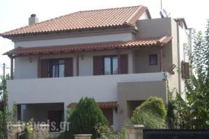 Villa Camellia_accommodation_in_Villa_Crete_Chania_Sfakia
