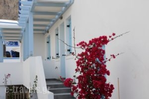 Adelphi Apartments_best deals_Apartment_Cyclades Islands_Sandorini_Perissa