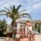 Galissas Studios_lowest prices_in_Hotel_Cyclades Islands_Syros_Galissas