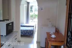 Passas Studios And Apartments_lowest prices_in_Apartment_Ionian Islands_Corfu_Benitses