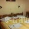 Studios Julia_holidays_in_Hotel_Aegean Islands_Lesvos_Petra