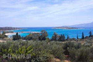 Marathi Panorama Rooms_accommodation_in_Room_Crete_Chania_Fournes