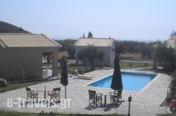 Socrates Organic Village - Wild Olive_s __1
