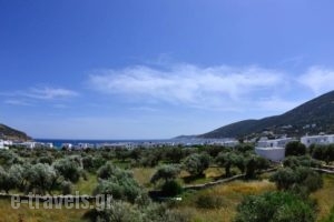 Faneromeni Apartments & Rooms_holidays_in_Room_Cyclades Islands_Sifnos_Sifnos Chora