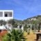 Faneromeni Apartments & Rooms_best deals_Room_Cyclades Islands_Sifnos_Sifnos Chora
