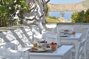 Mersina Rooms & Apartments_best deals_Room_Cyclades Islands_Paros_Paros Chora