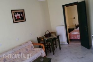 Elektra Apartments & Studios_best prices_in_Apartment_Aegean Islands_Lesvos_Petra