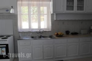 Kalymnos residence_best prices_in_Hotel_Dodekanessos Islands_Kalimnos_Kalimnos Chora
