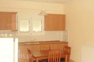 Apartment Thalassa_best prices_in_Apartment_Macedonia_Halkidiki_Nea Moudania