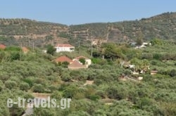 Eirini Villa in Kolympari, Chania, Crete