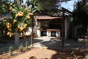 Myrto's Home_best prices_in_Hotel_Central Greece_Attica_Anabyssos