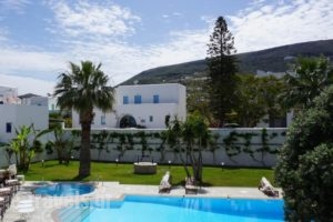 Hotel Polos_accommodation_in_Hotel_Cyclades Islands_Paros_Paros Chora
