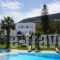 Hotel Polos_accommodation_in_Hotel_Cyclades Islands_Paros_Paros Chora