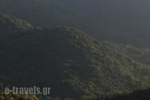 Apollonion Hotel_travel_packages_in_Peloponesse_Ilia_Andritsena