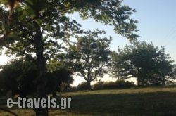 Apollonion Hotel_s __1