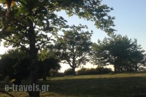 Apollonion Hotel_accommodation_in_Hotel_Peloponesse_Ilia_Andritsena