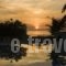 Alma Hotel_best deals_Hotel_Aegean Islands_Lesvos_Petra